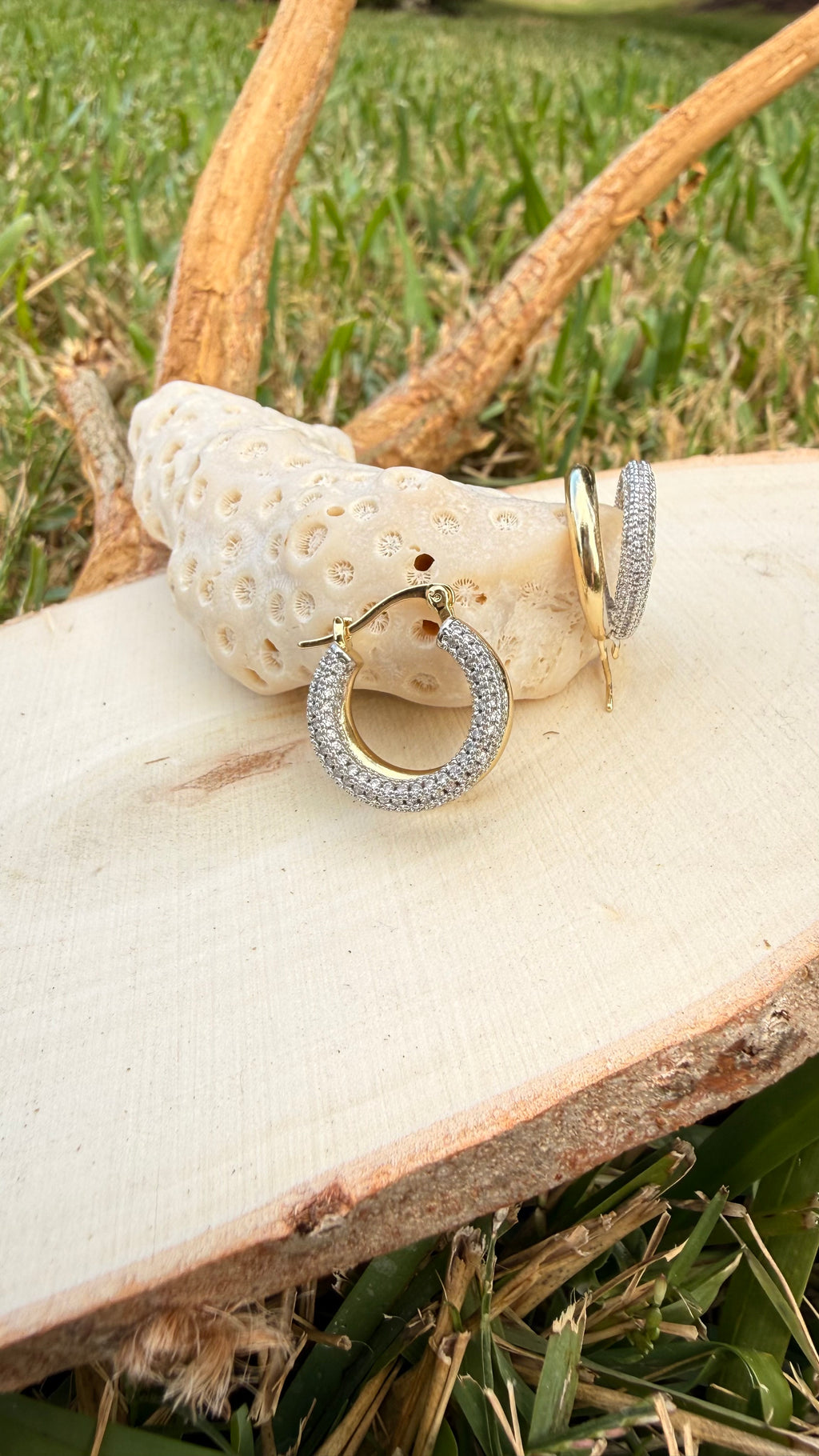 Stainless Steel Earrings