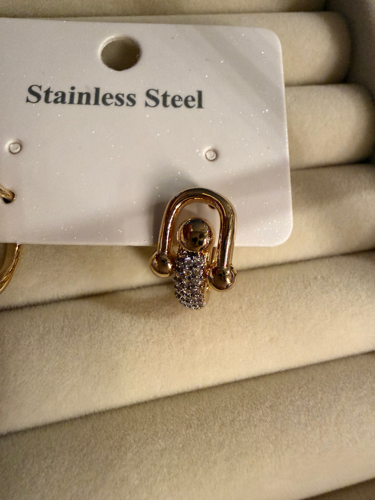 Stainless steel earrings
