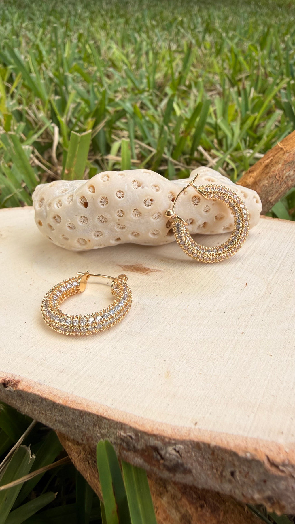 Stainless Steel Earrings