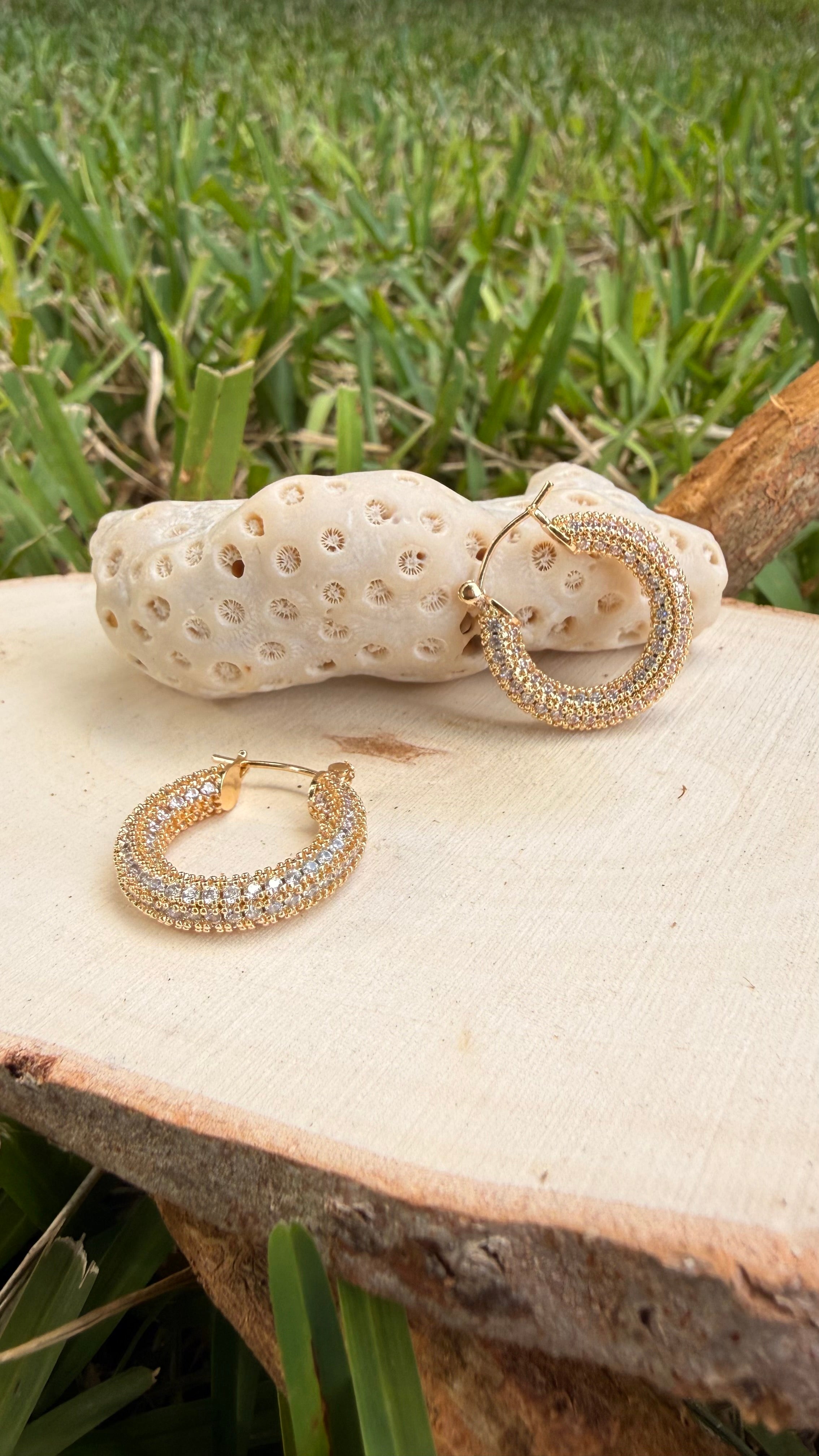 Stainless Steel Earrings