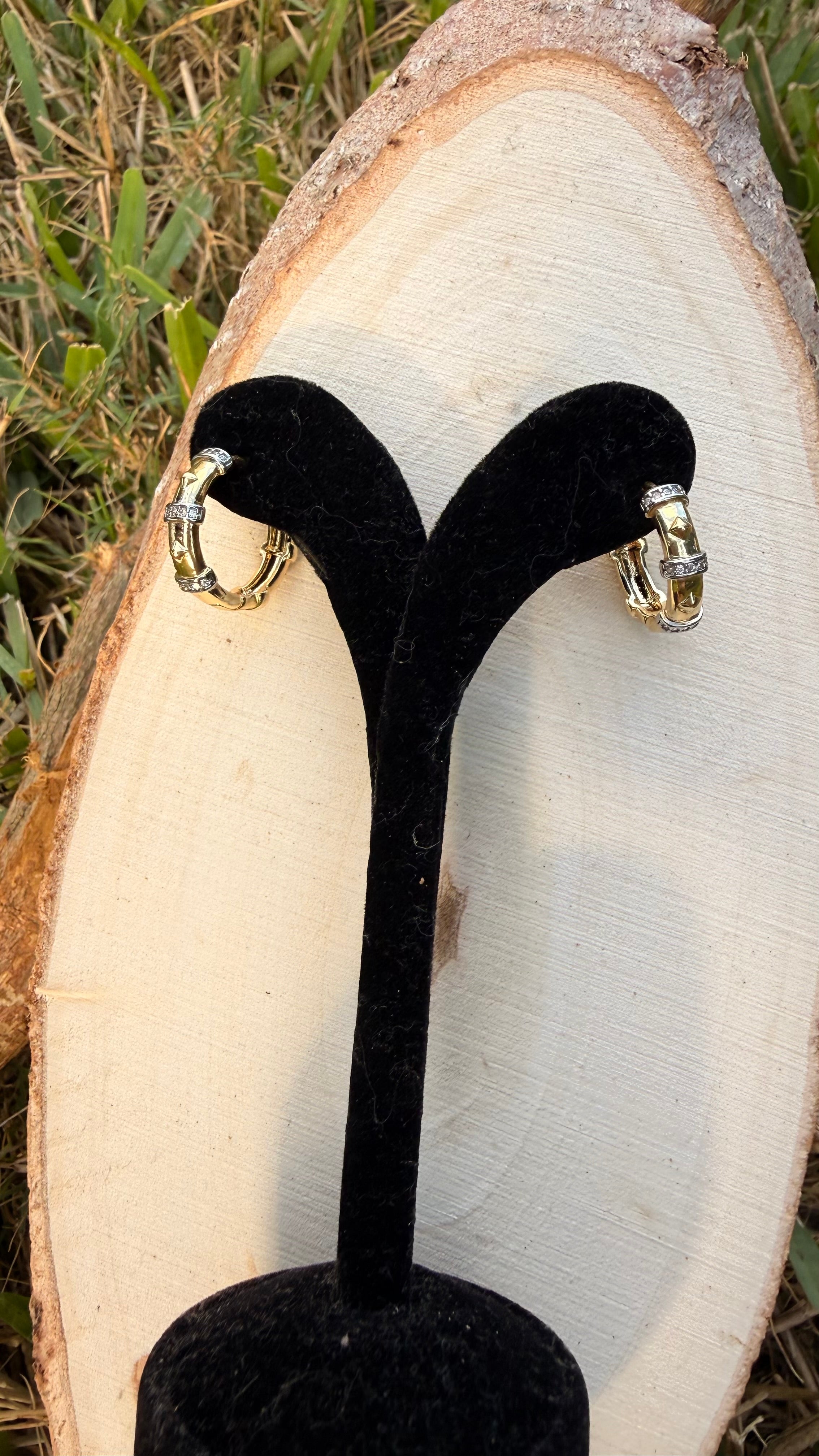 Stainless Steel Earring