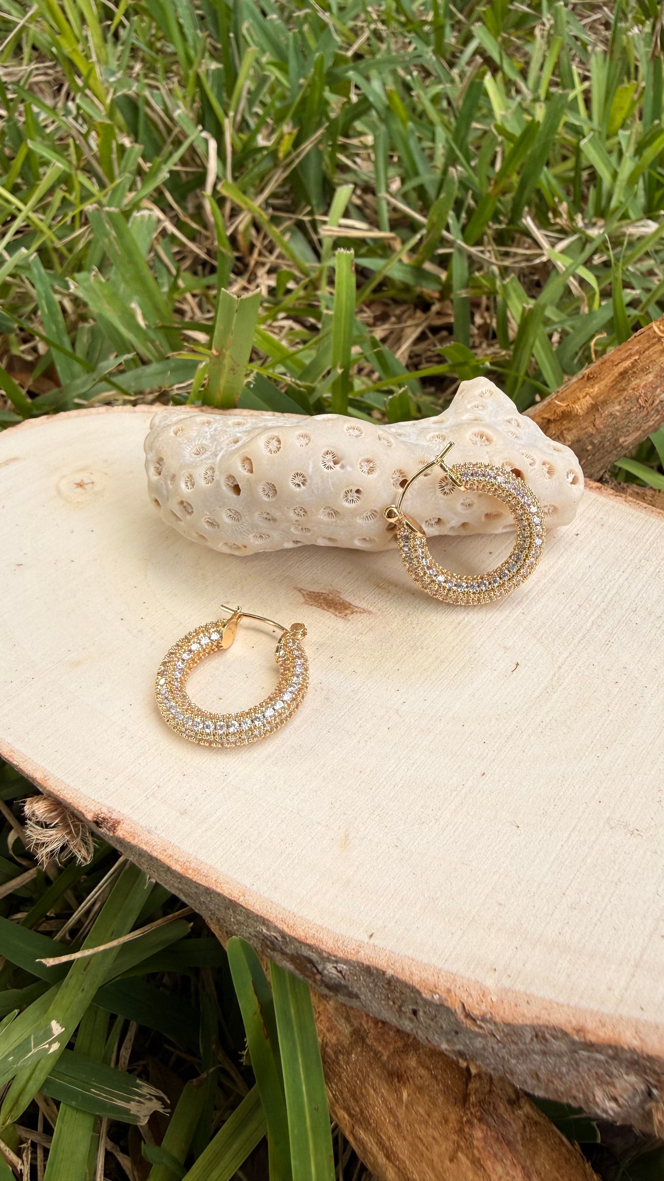 Stainless Steel Earrings