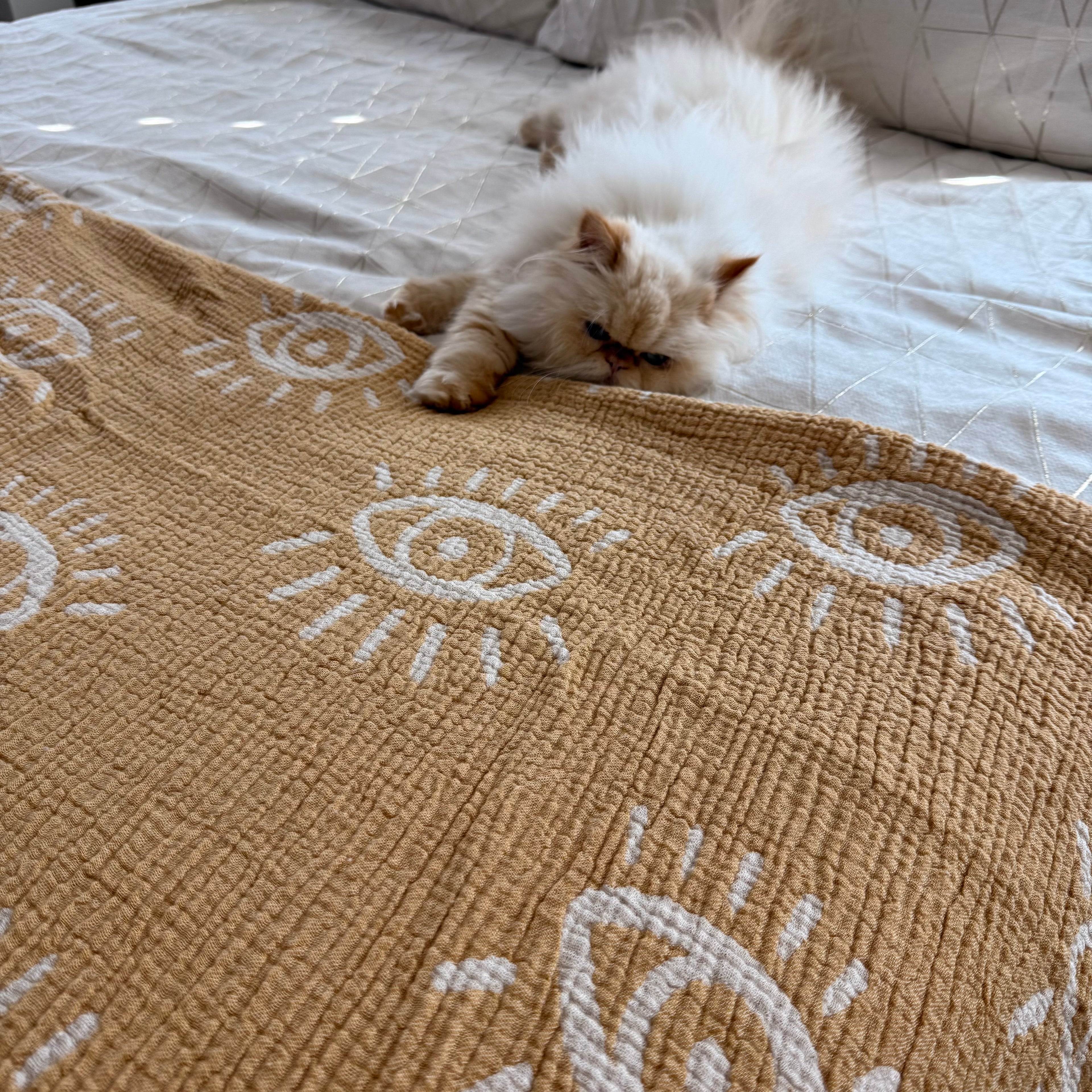Organic cotton Blanket (Muslin)