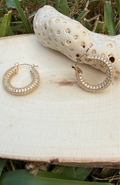 Stainless Steel Earrings