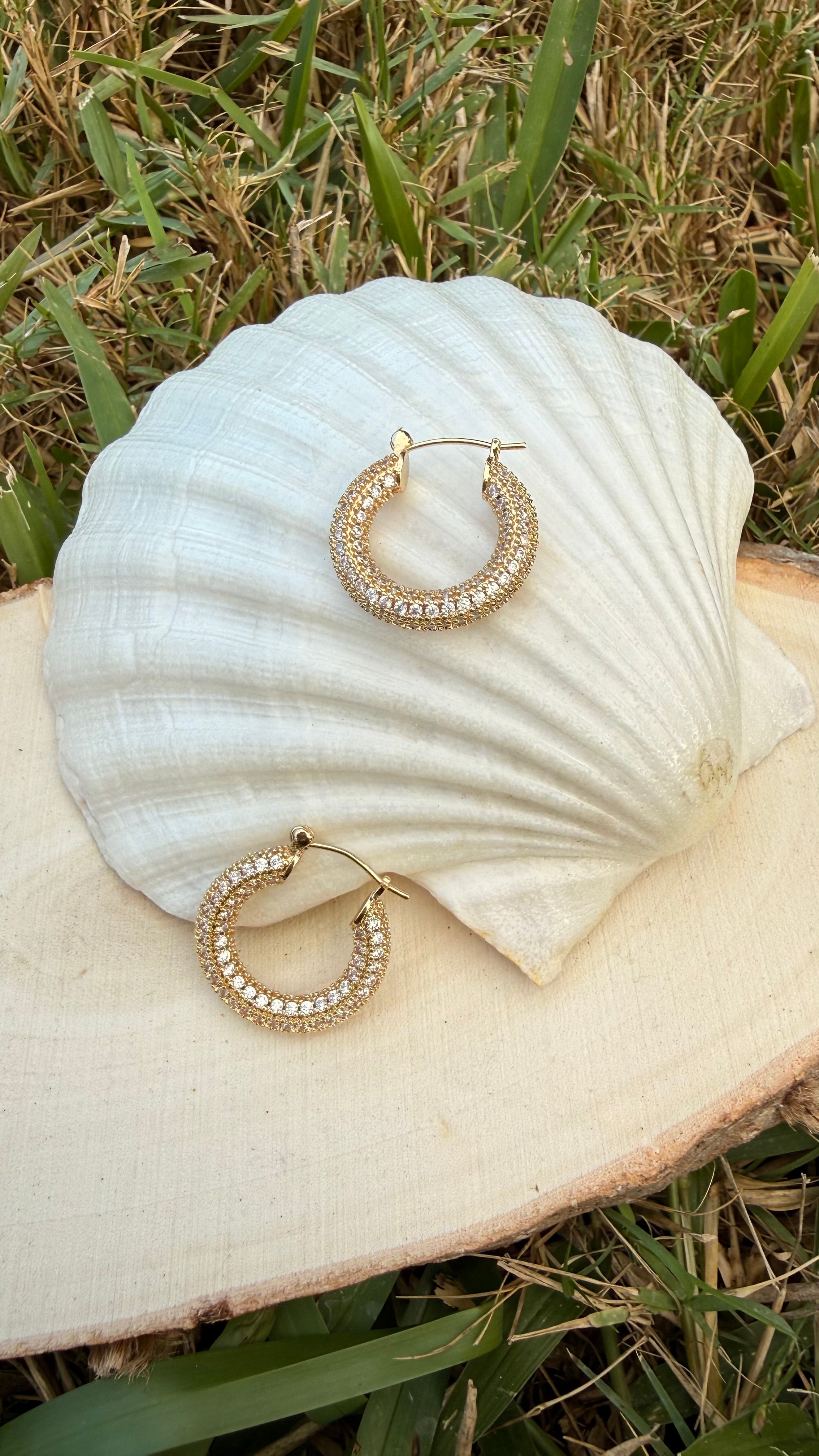 Stainless Steel Earrings