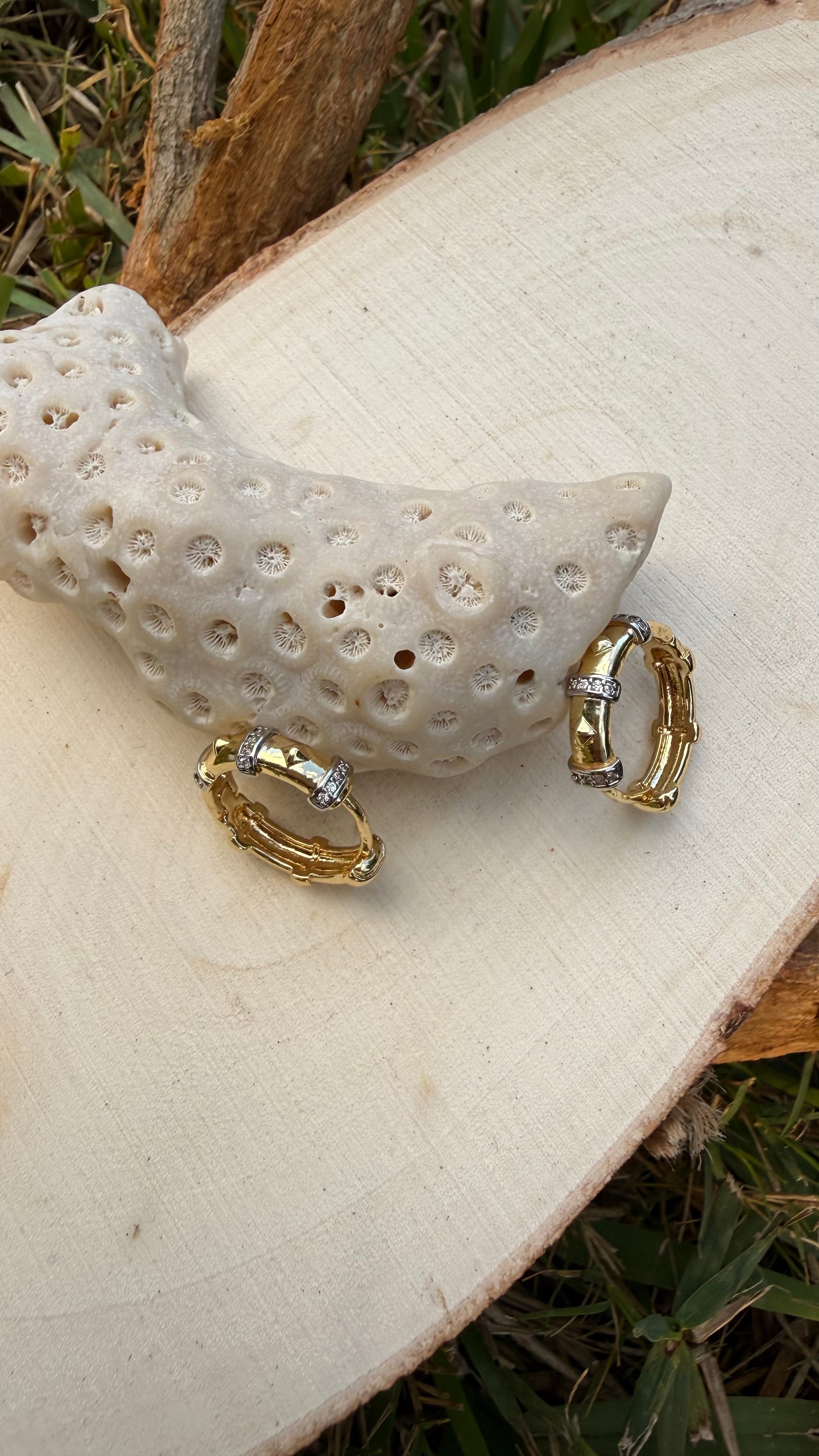 Stainless Steel Earring