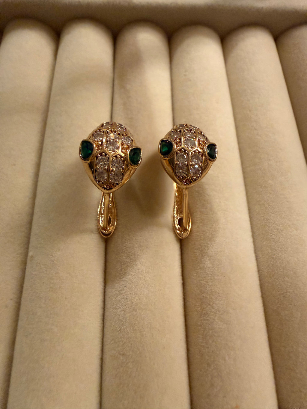 Stainless steel Earrings