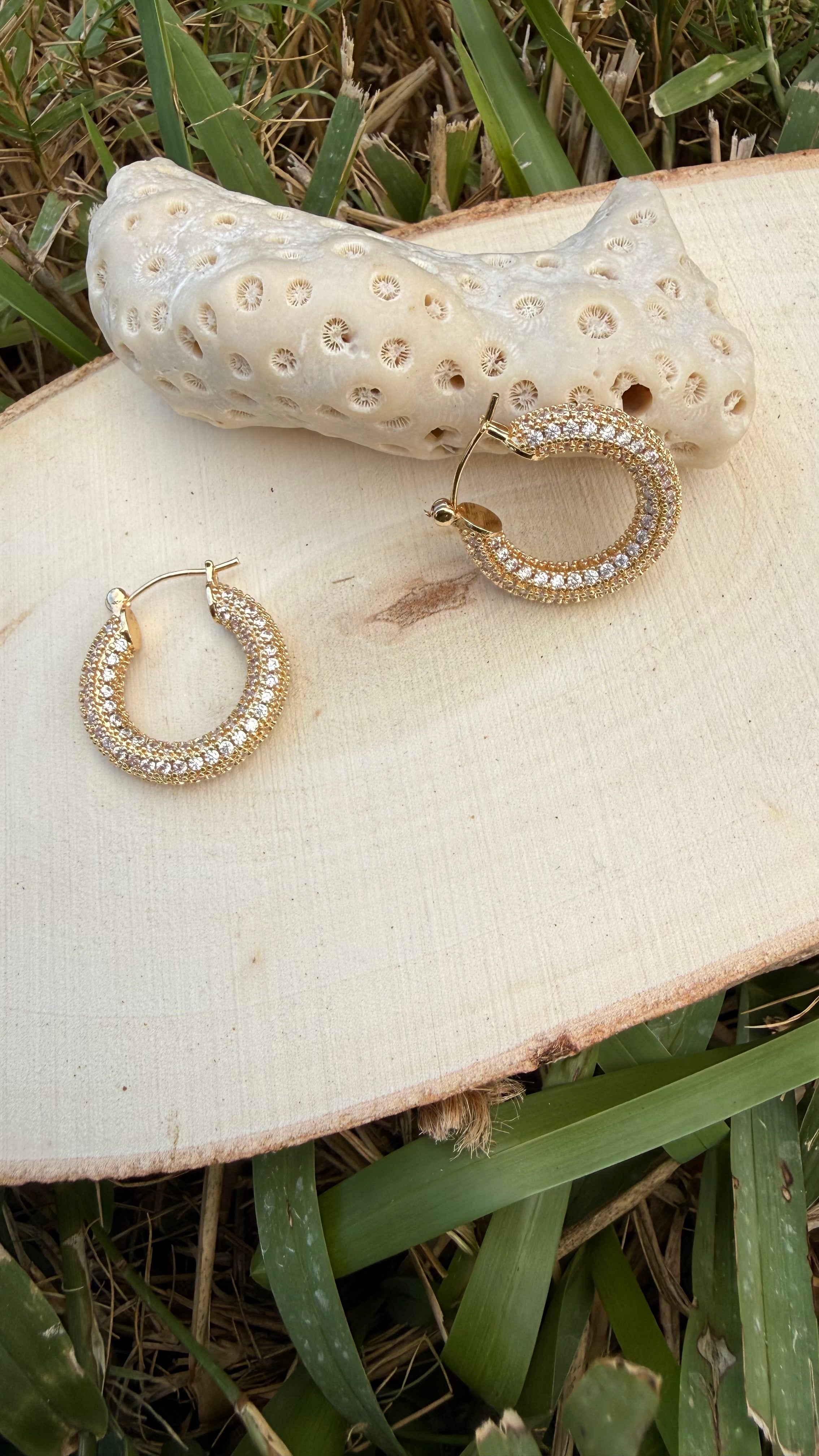 Stainless Steel Earrings
