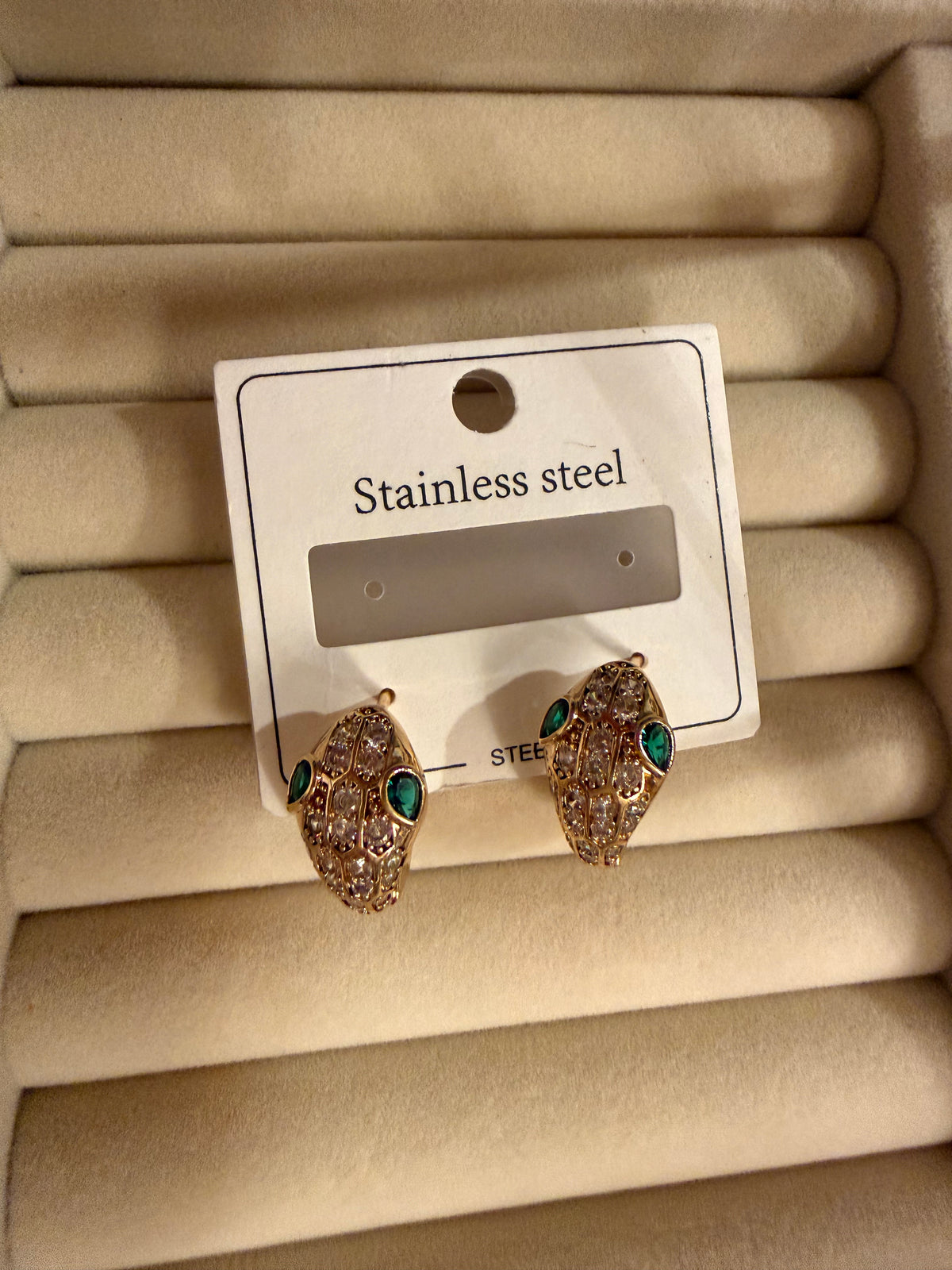 Stainless steel Earrings