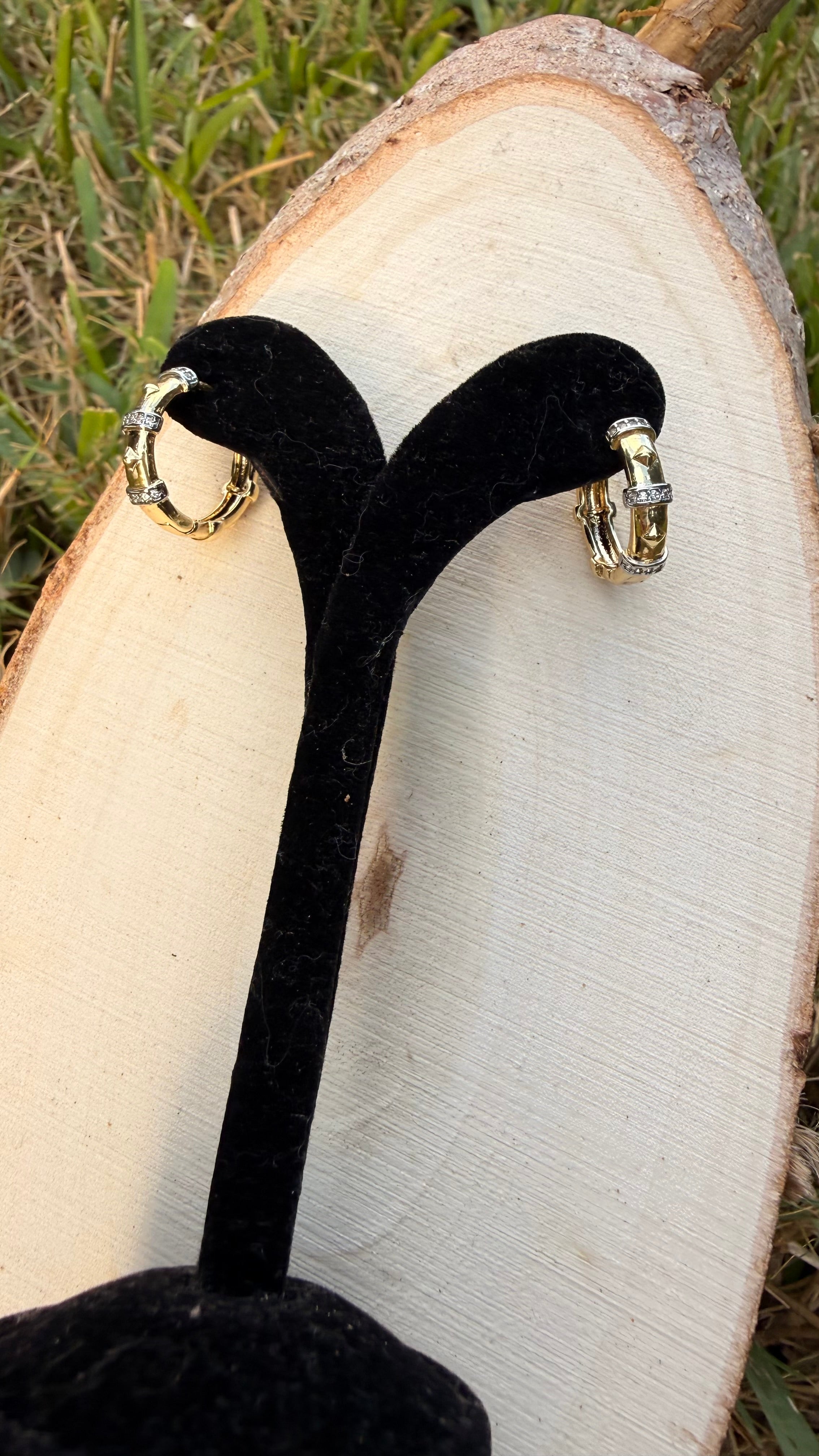 Stainless Steel Earring