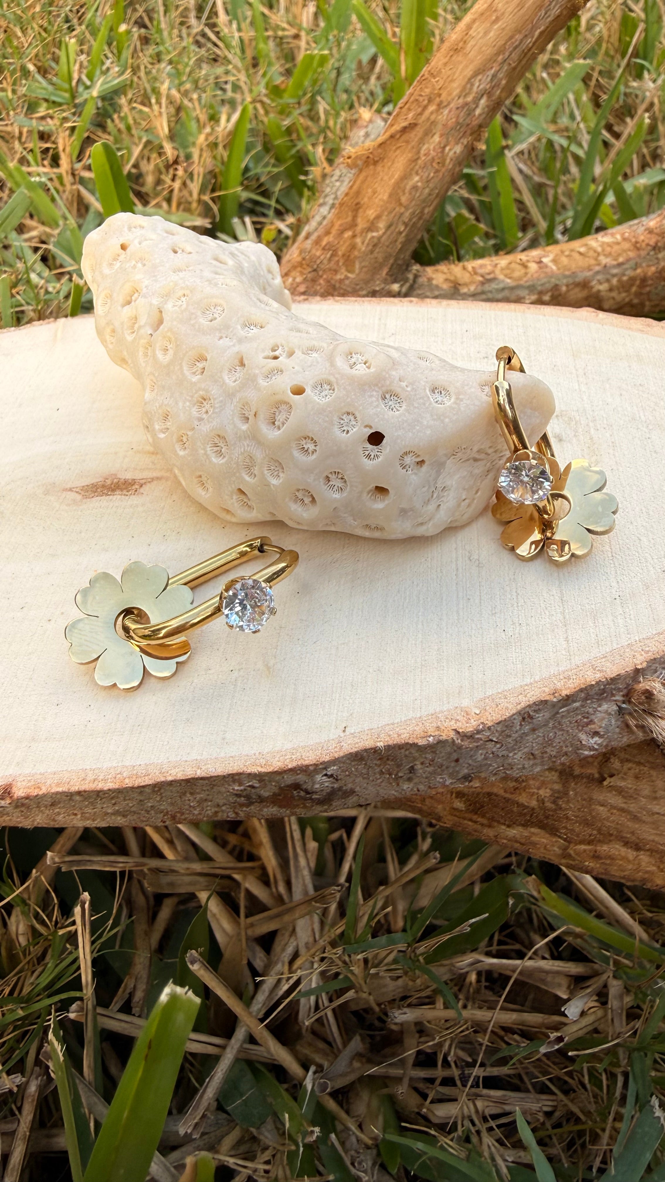 Stainless Steel Earring