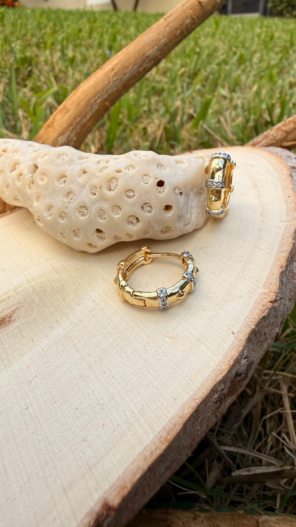 Stainless Steel Earring