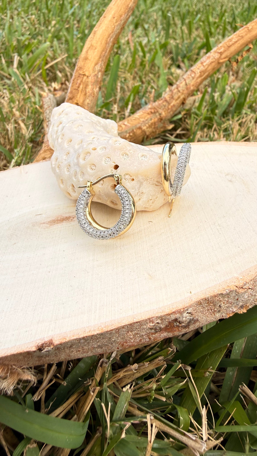 Stainless Steel Earrings