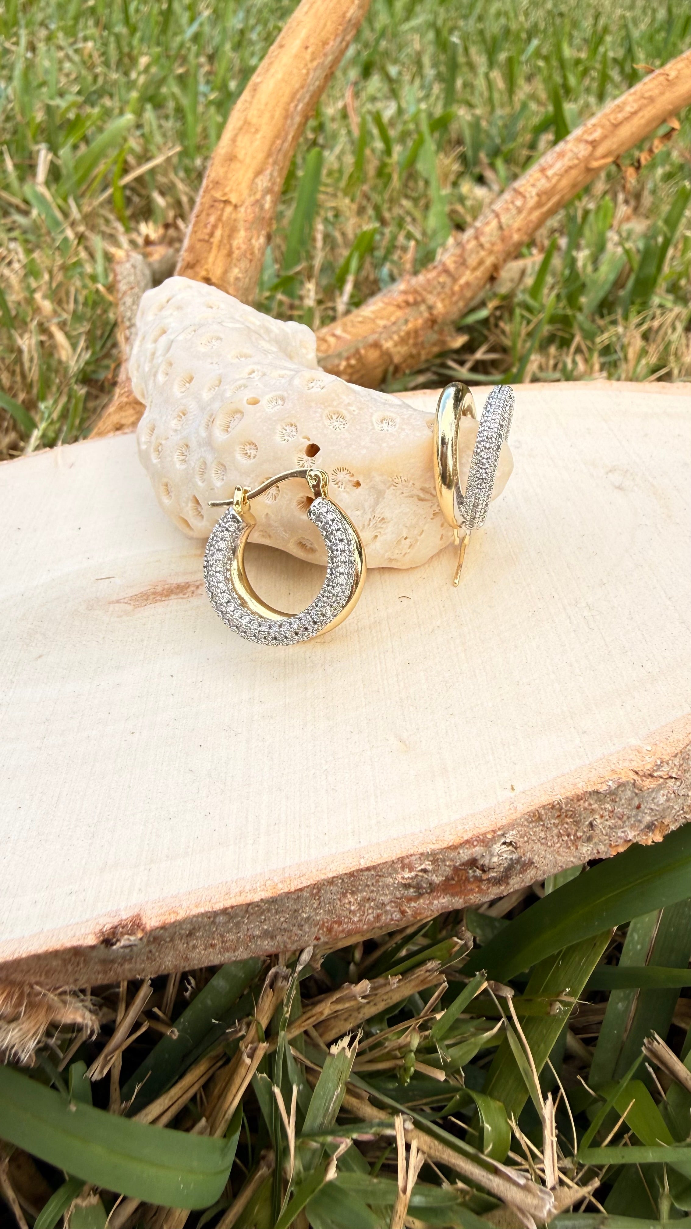 Stainless Steel Earrings
