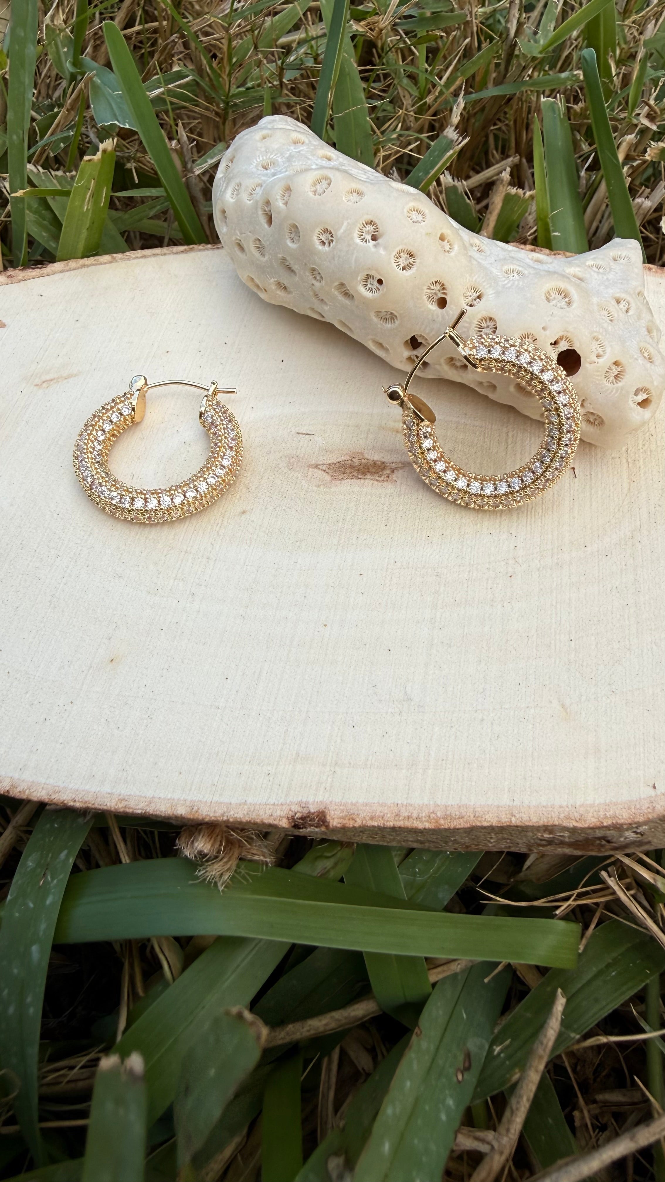 Stainless Steel Earrings