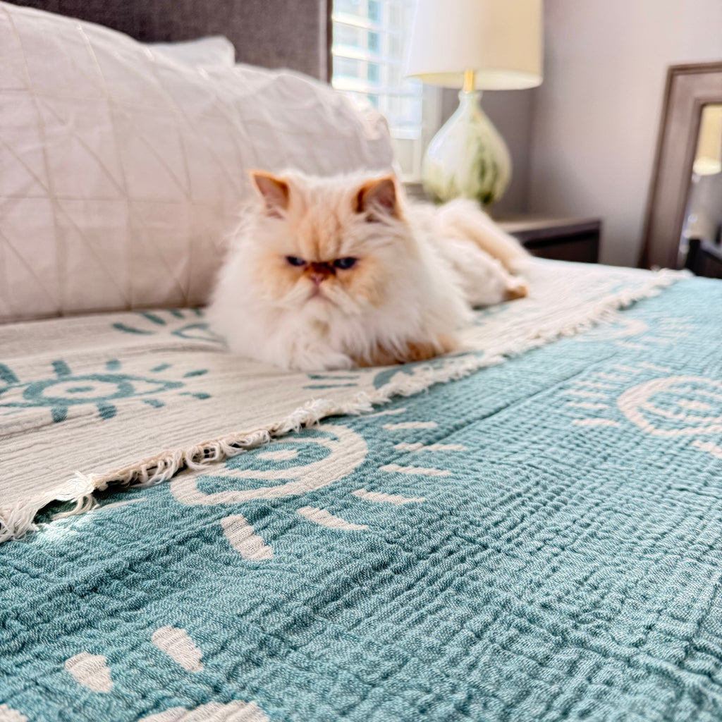 Organic Cotton Blanket (Muslin)