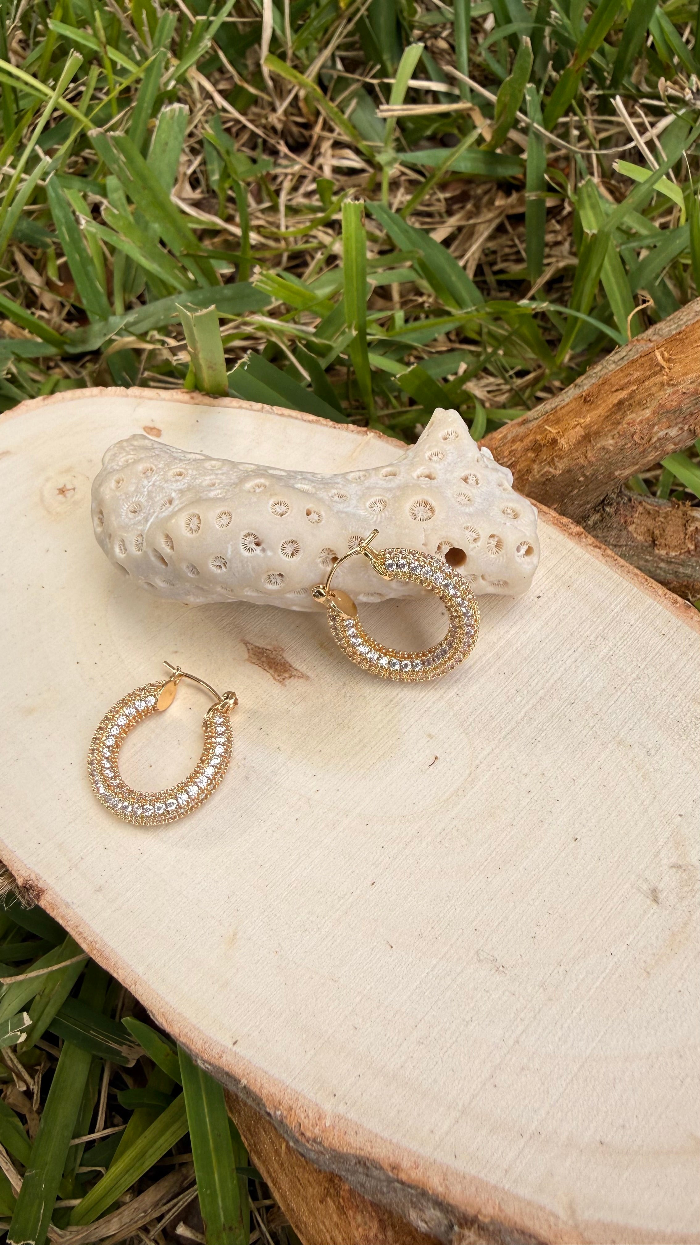Stainless Steel Earrings