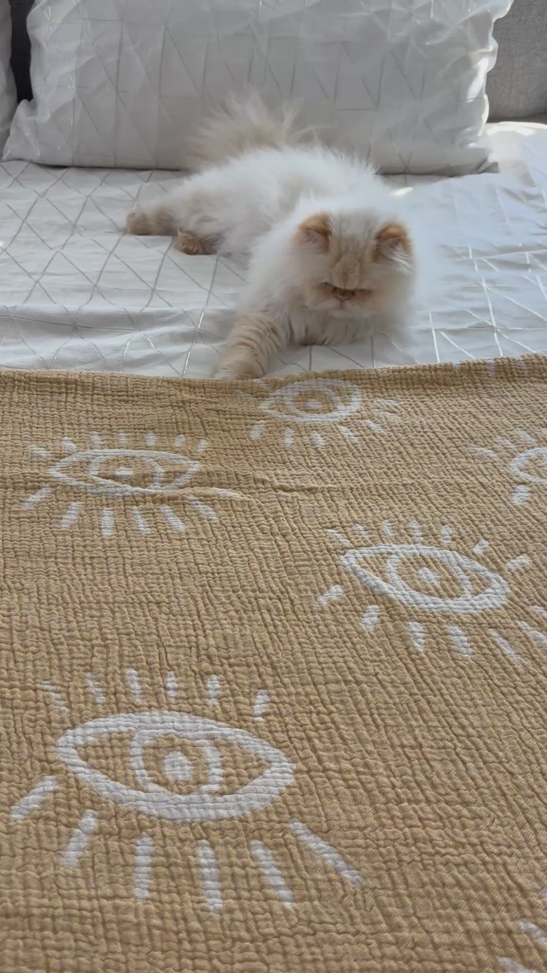 Organic cotton Blanket (Muslin)